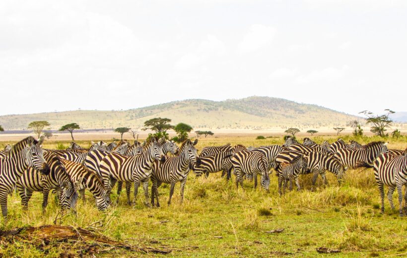 Serengeti National Park